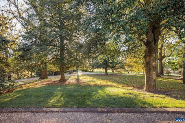 19184 Mt Sharon Rd, Orange, VA 22960 - view of yard