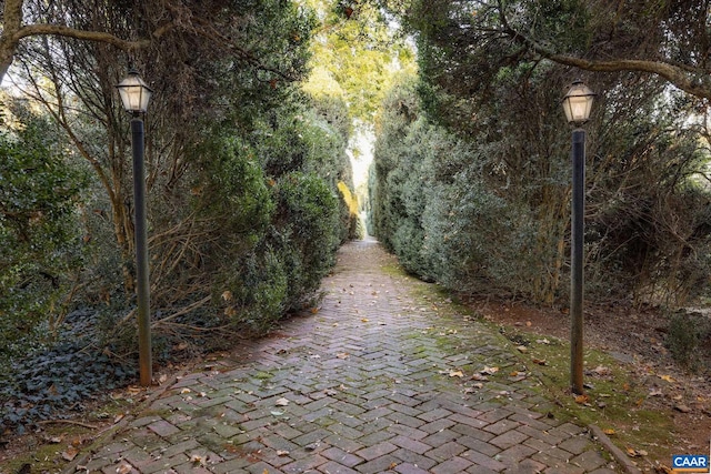 19184 Mt Sharon Rd, Orange, VA 22960 - view of street with a view of trees and street lights