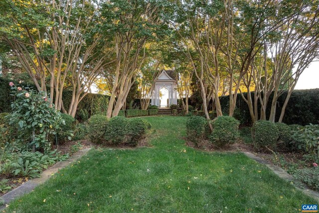 19184 Mt Sharon Rd, Orange, VA 22960 - view of yard