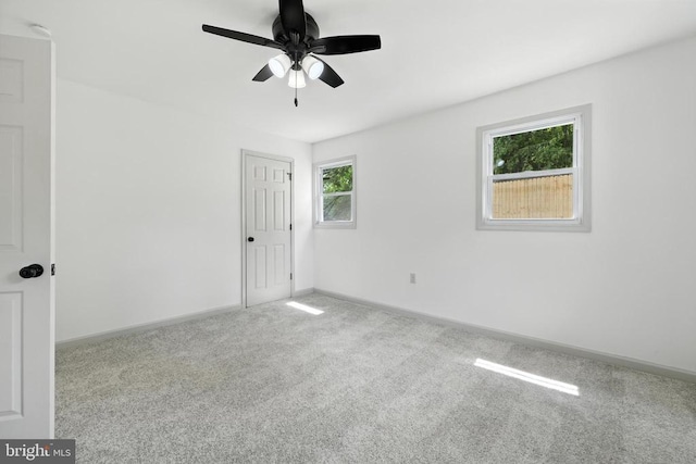 782 Shipyard Rd, Shenandoah, VA 22849 - photo 34