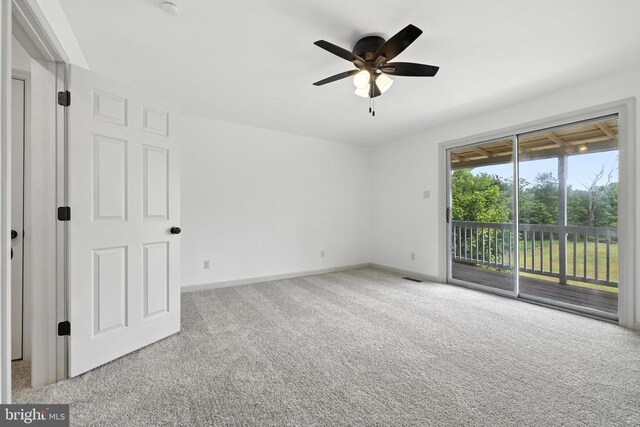 782 Shipyard Rd, Shenandoah, VA 22849 - photo 27