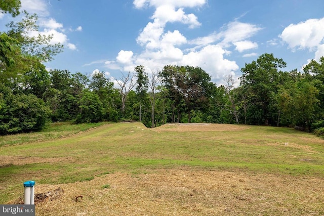 782 Shipyard Rd, Shenandoah, VA 22849 - photo 72