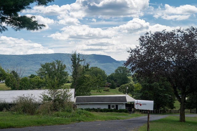 10999 Orkney Grade, Mount Jackson, VA 22842 - view of mountain background