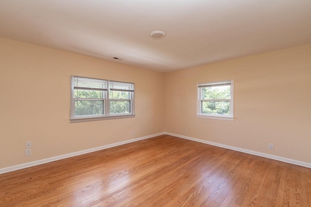10999 Orkney Grade, Mount Jackson, VA 22842 - empty room featuring plenty of natural light, light wood-style flooring, and baseboards