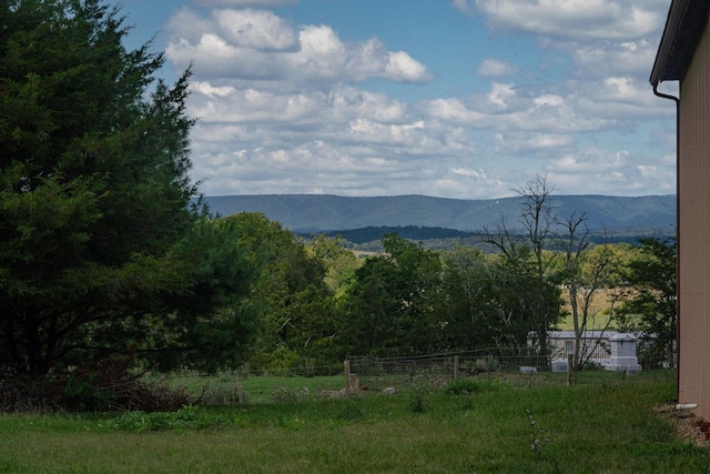 10999 Orkney Grade, Mount Jackson, VA 22842 - view of mountain background
