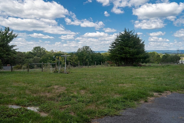 10999 Orkney Grade, Mount Jackson, VA 22842 - view of yard
