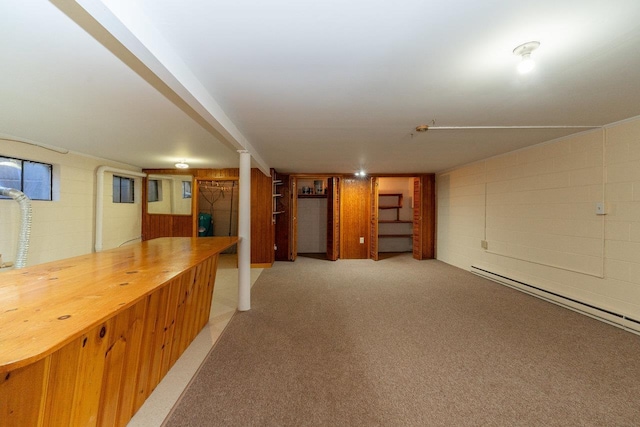 10999 Orkney Grade, Mount Jackson, VA 22842 - finished basement featuring a baseboard heating unit, concrete block wall, and light carpet