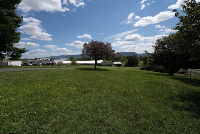 10999 Orkney Grade, Mount Jackson, VA 22842 - view of green lawn