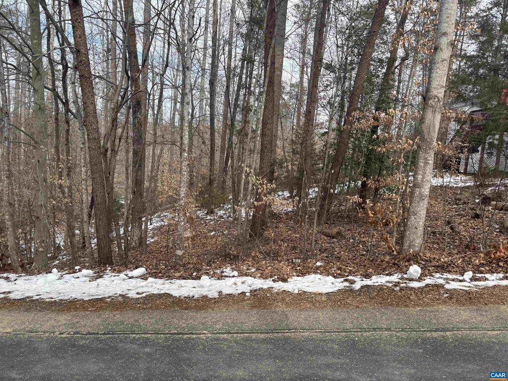 34 Hopi Way, Palmyra, VA 22963 - photo 1