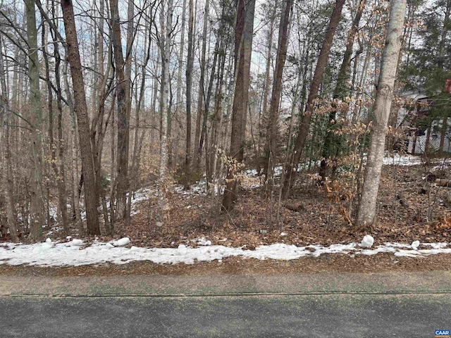 34 Hopi Way, Palmyra, VA 22963 - photo 1