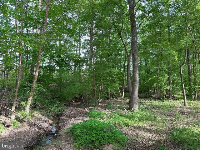 Haden Martin Rd, Tract Martin Pitts Palmyra, VA 22963 - photo 15