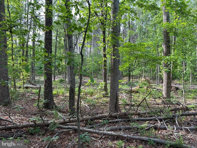 Haden Martin Rd, Tract Martin Pitts Palmyra, VA 22963 - photo 7