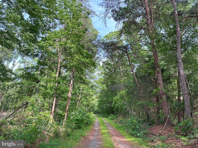 Haden Martin Rd, Tract Martin Pitts Palmyra, VA 22963 - photo 5