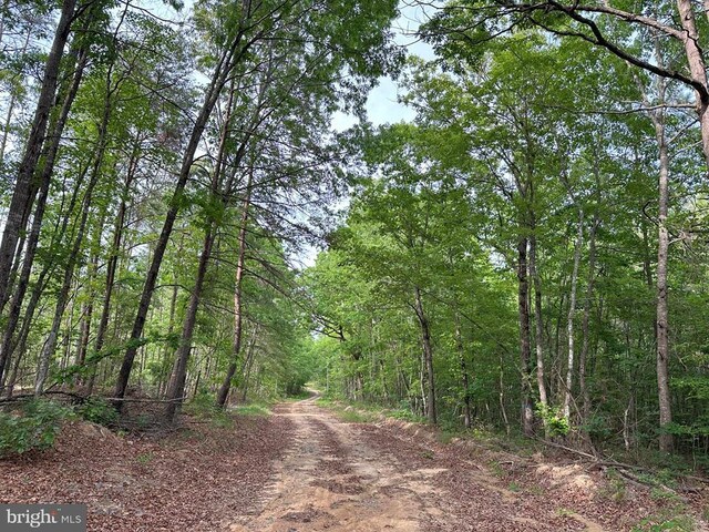 Haden Martin Rd, Tract Martin Pitts Palmyra, VA 22963 - photo 11