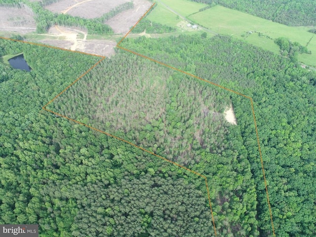Haden Martin Rd, Tract Martin Pitts Palmyra, VA 22963 - photo 3