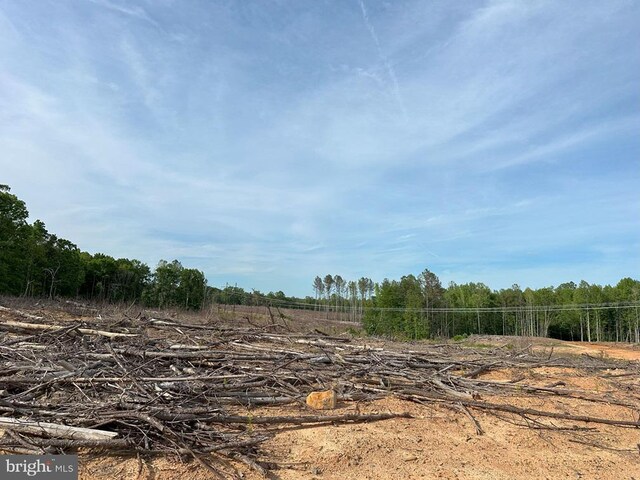 Haden Martin Rd, Tract Martin Pitts Palmyra, VA 22963 - photo 13