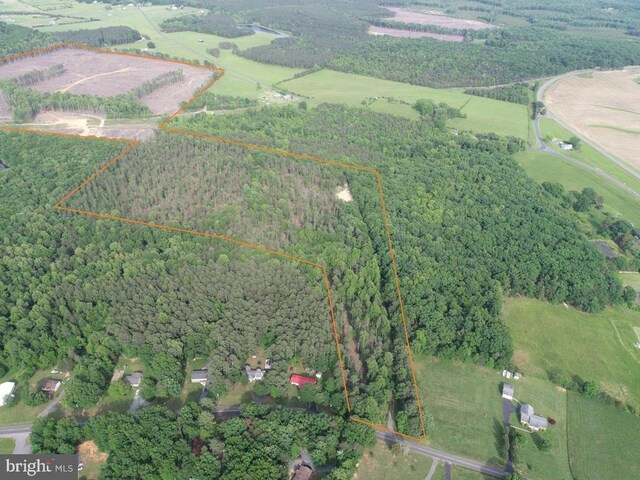 Haden Martin Rd, Tract Martin Pitts Palmyra, VA 22963 - photo 2