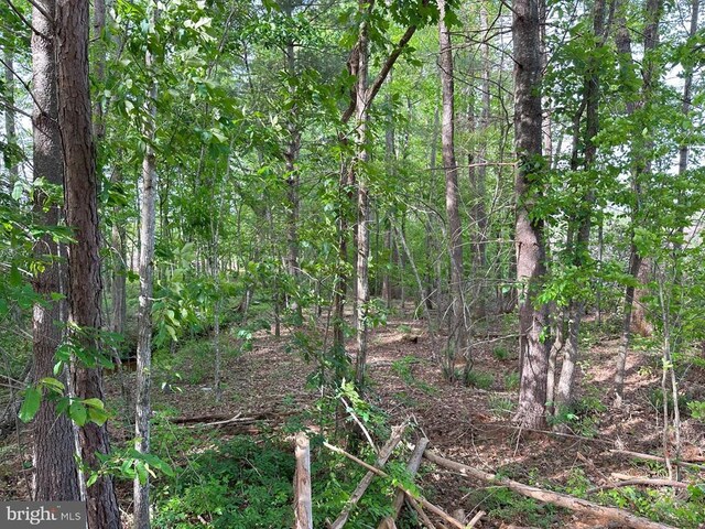 Haden Martin Rd, Tract Martin Pitts Palmyra, VA 22963 - photo 16