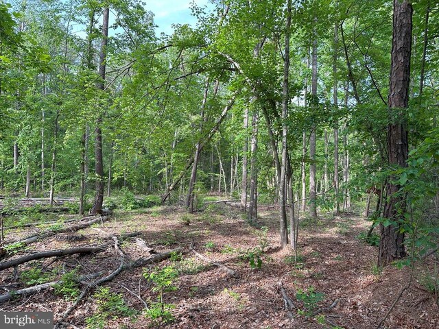 Haden Martin Rd, Tract Martin Pitts Palmyra, VA 22963 - photo 6