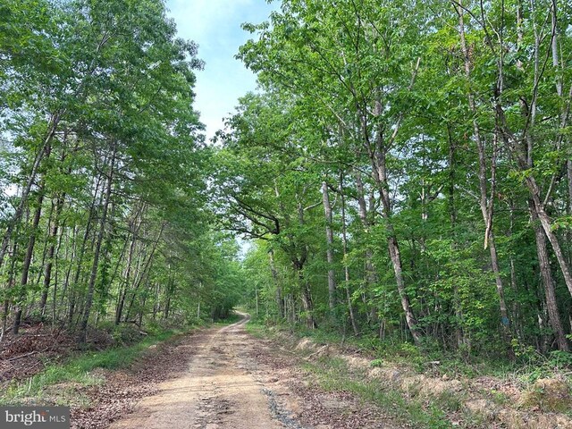 Haden Martin Rd, Tract Martin Pitts Palmyra, VA 22963 - photo 12
