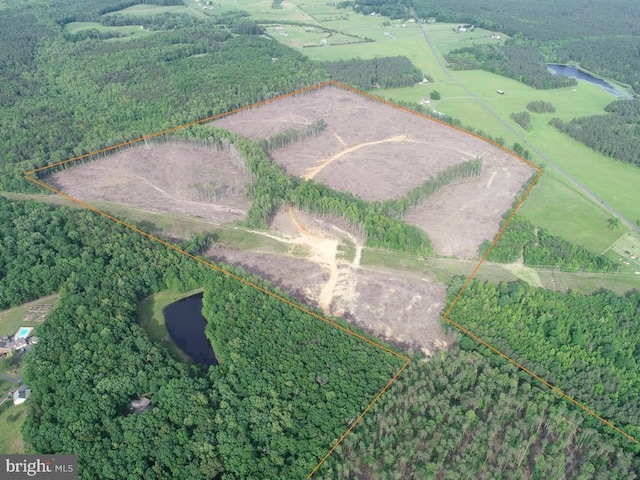 Haden Martin Rd, Tract Martin Pitts Palmyra, VA 22963 - photo 4