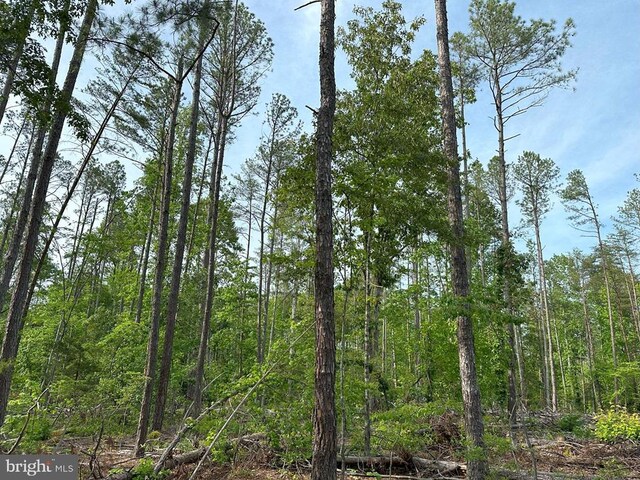Haden Martin Rd, Tract Martin Pitts Palmyra, VA 22963 - photo 10