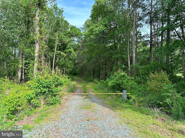 Haden Martin Rd, Tract Martin Pitts Palmyra, VA 22963 - photo 1