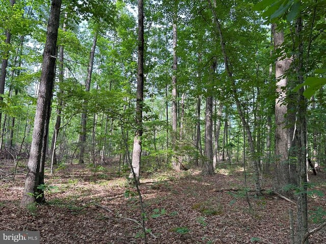 Haden Martin Rd, Tract Martin Pitts Palmyra, VA 22963 - photo 8