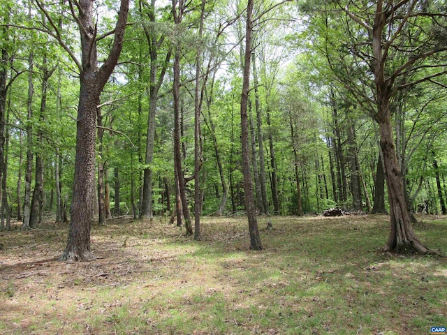 238 My Way, Amherst, VA 24521 - view of tree filled area