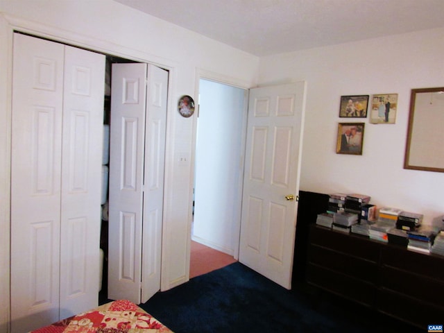 238 My Way, Amherst, VA 24521 - carpeted bedroom with a closet