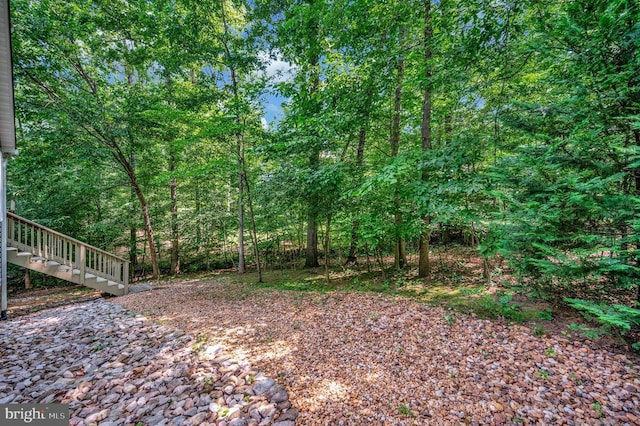 142 Larkspur Ln, Locust Grove, VA 22508 - photo 51