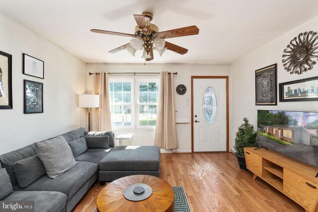 11224 Old Leavells Rd, Fredericksburg, VA 22407 - photo 50