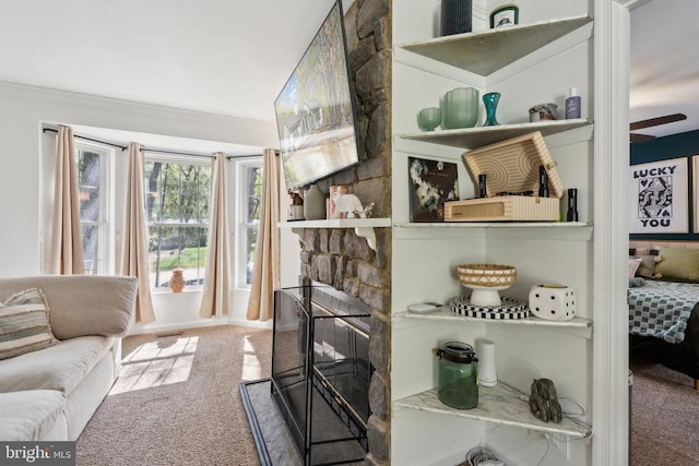 interior space with ornamental molding and carpet flooring