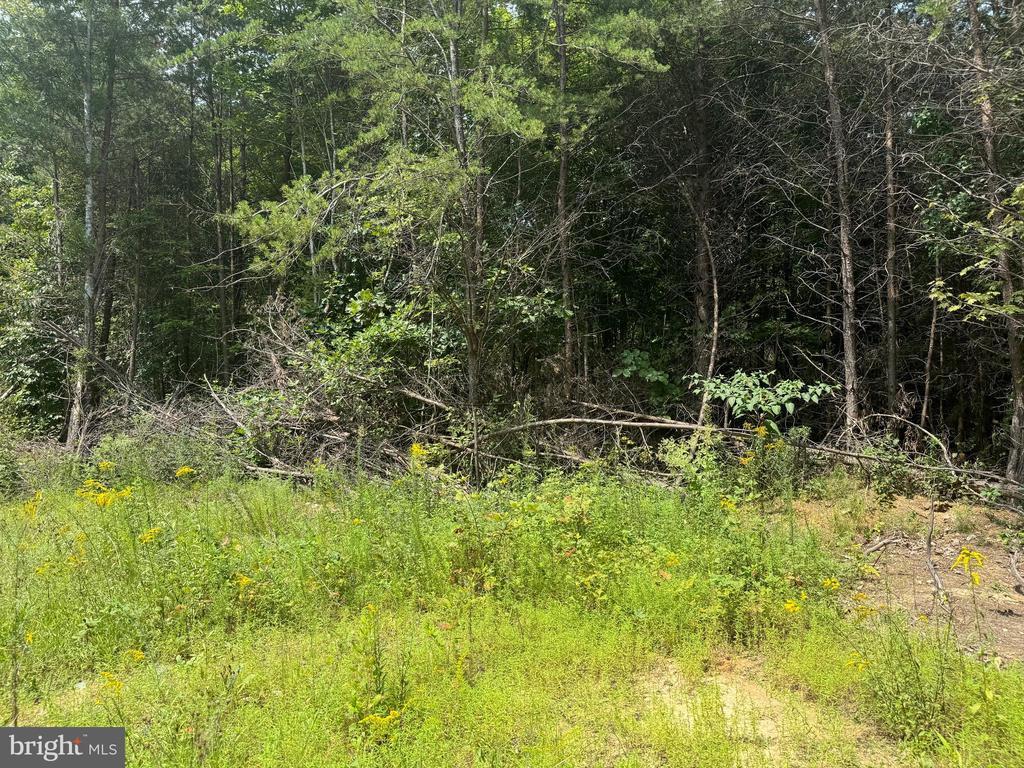 Buckner Rd, Mineral, VA 23117 - photo 2