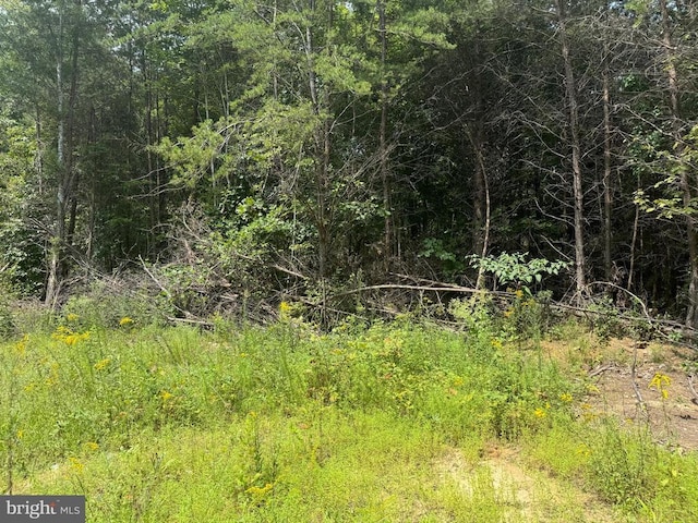 Buckner Rd, Mineral, VA 23117 - photo 2