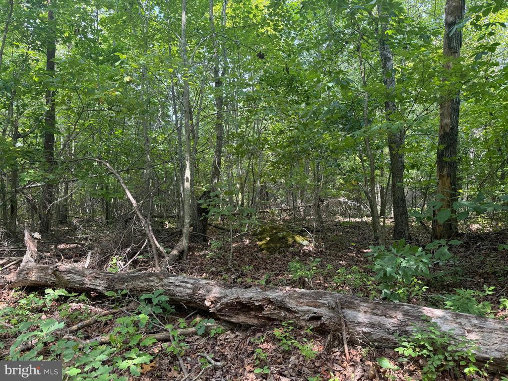 Buckner Rd, Mineral, VA 23117 - photo 1