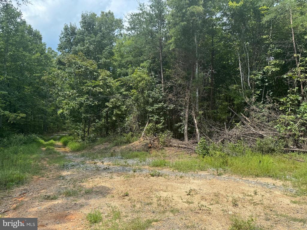 Buckner Rd, Mineral, VA 23117 - photo 4