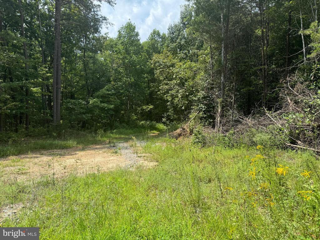 Buckner Rd, Mineral, VA 23117 - photo 3