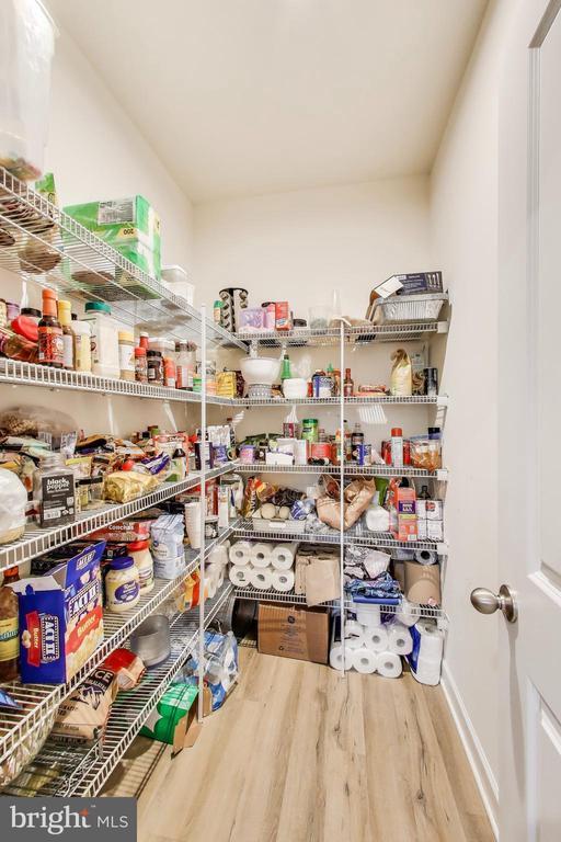 13001 Wipple Ct, Fredericksburg, VA 22407 - view of pantry