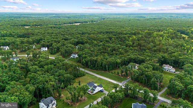 13001 Wipple Ct, Fredericksburg, VA 22407 - view of property location with a forest