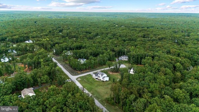 13001 Wipple Ct, Fredericksburg, VA 22407 - view of home's exterior with asphalt driveway and a yard