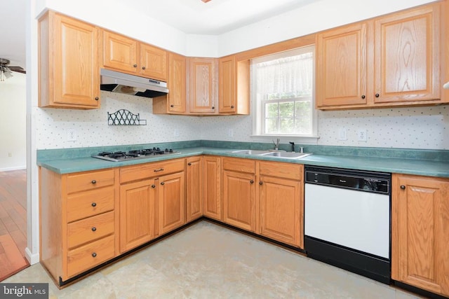 kitchen with a sink, stainless steel gas stovetop, under cabinet range hood, and white dishwasher