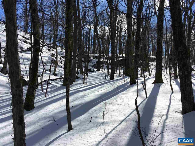 117 Fairway Oaks Ln, Wintergreen Resort, VA 22967