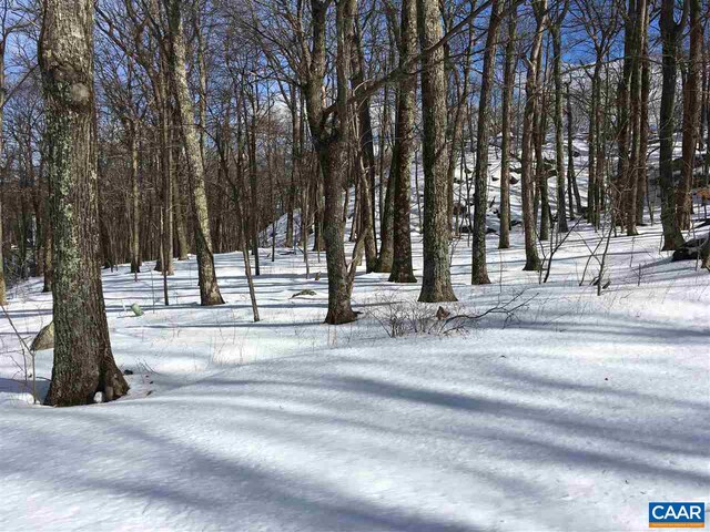 117 Fairway Oaks Ln, Wintergreen Resort, VA 22967