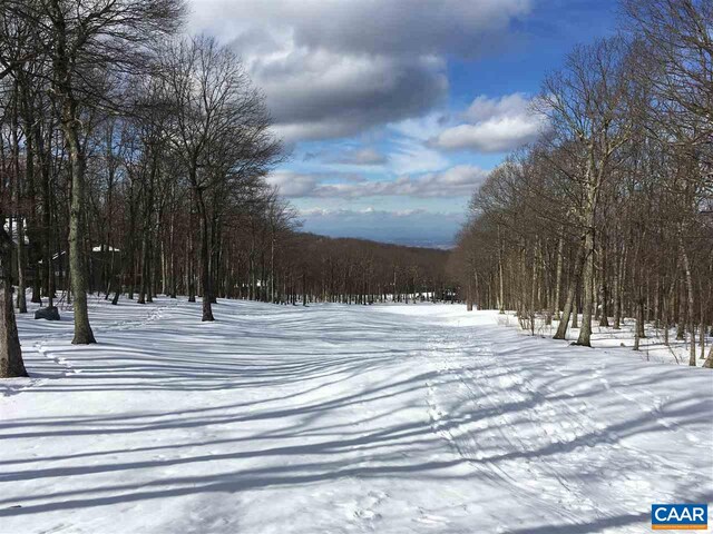 117 Fairway Oaks Ln, Wintergreen Resort, VA 22967