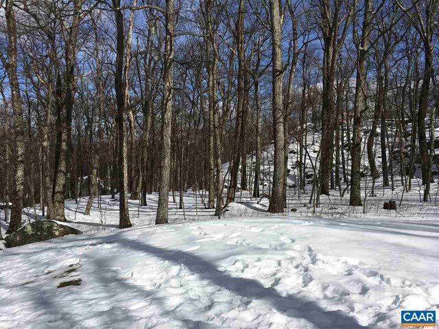 117 Fairway Oaks Ln, Wintergreen Resort, VA 22967