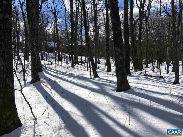 117 Fairway Oaks Ln, Wintergreen Resort, VA 22967