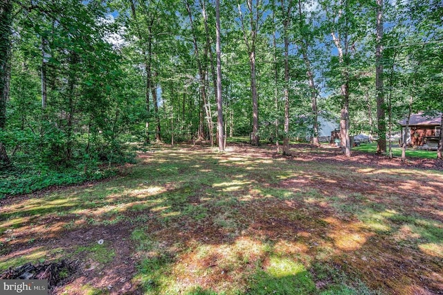102 Hillside Dr, Locust Grove, VA 22508 - photo 24