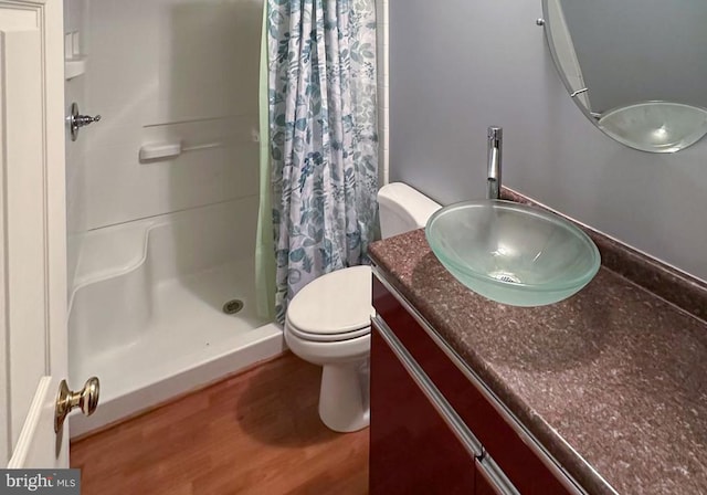 12107 Knight Ct, Fredericksburg, VA 22407 - full bathroom with wood finished floors, a shower stall, vanity, and toilet