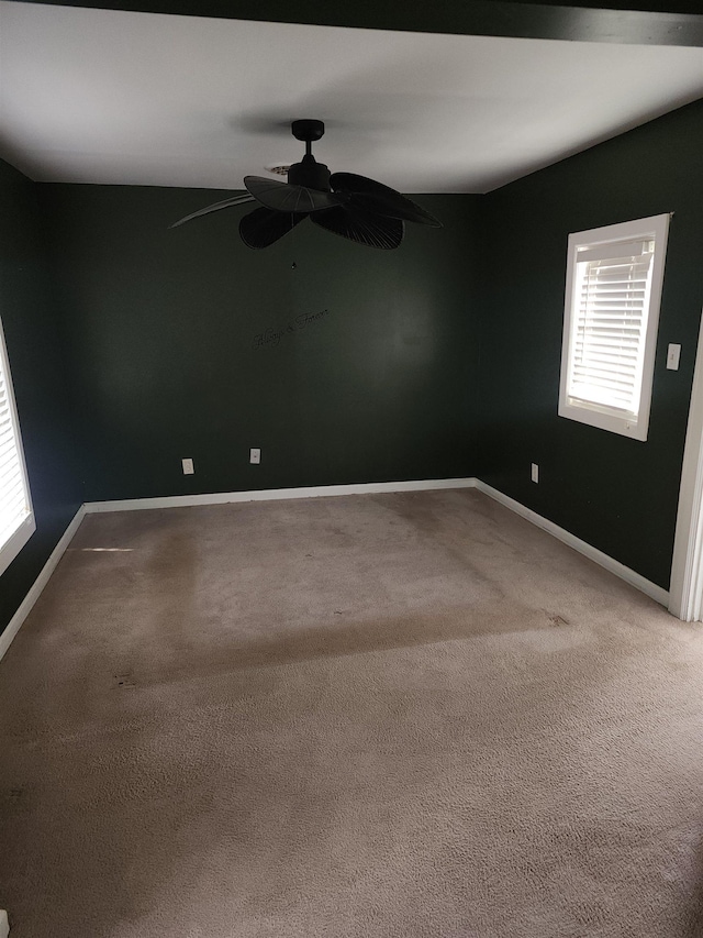 1111 Maple St, Staunton, VA 24401 - carpeted spare room with healthy amount of natural light and a ceiling fan